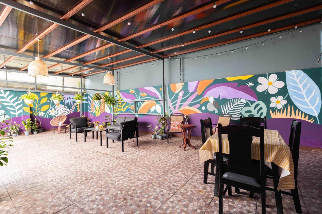 Viva Guest House San José Zewnętrze zdjęcie