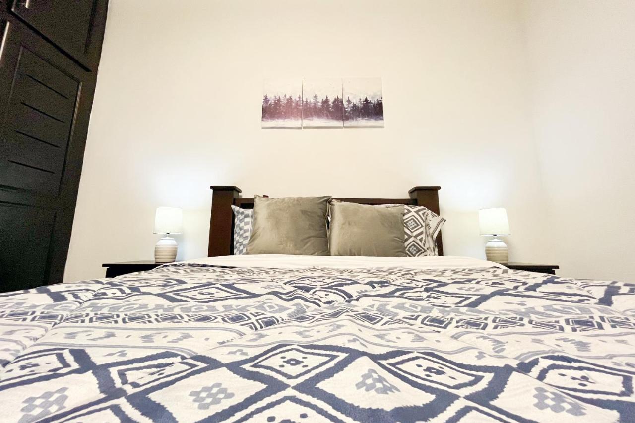 Viva Guest House San José Zewnętrze zdjęcie