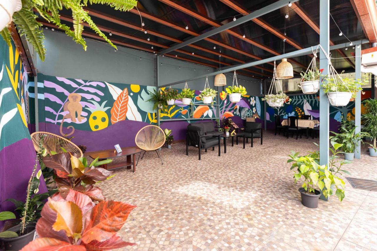 Viva Guest House San José Zewnętrze zdjęcie