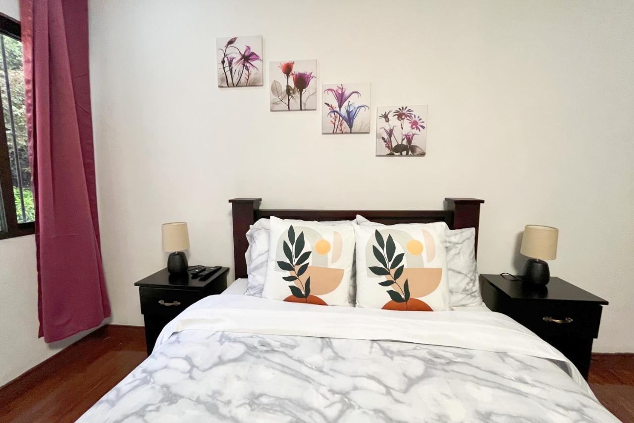 Viva Guest House San José Zewnętrze zdjęcie